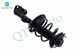 Pair of 2 Front Left-Right Quick Complete Strut-Coil Spring Assembly For 2019-2024 Lexus ES350