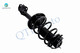 Front Right Lower Control Arm Ball Joint-Quick Complete Strut-Coil Spring Assembly For 2015-2020 Toyota Sienna SE, SE Premium