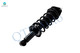 Rear Quick Complete Strut-Coil Spring For 2015 2016 Subaru Legacy AWD