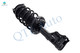 Set of 4 Front Quick Complete Strut-Coil Spring Assembly-Rear Shock Absorber Replacement For 2006-2011 Honda Civic