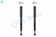 Pair of 2 Rear Complete Shock Absorber Kit Replacement For 2010-2013 Mazda 3