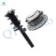 Front Wheel Hub Bearing Assembly-Quick Complete Strut-Coil Spring Assembly For 2012 2013 BMW 335I