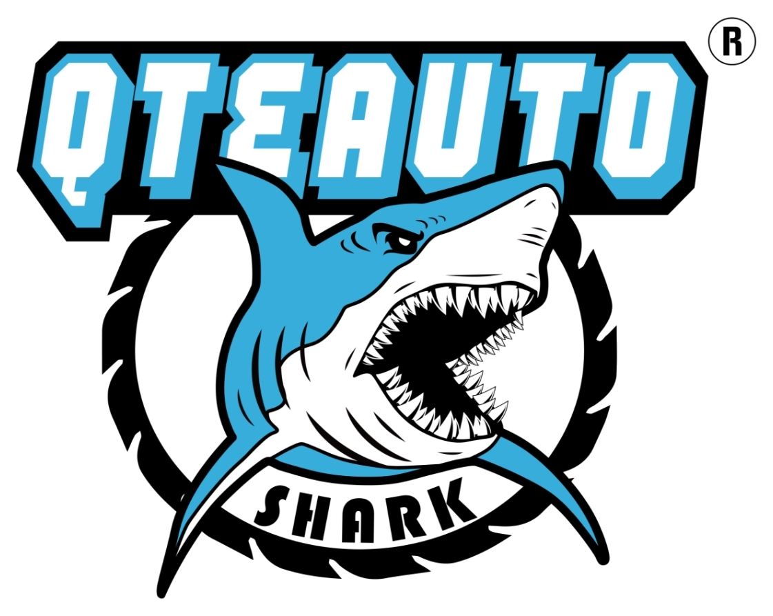 QTEAUTO LLC