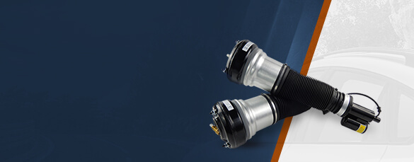 Air Shocks and struts