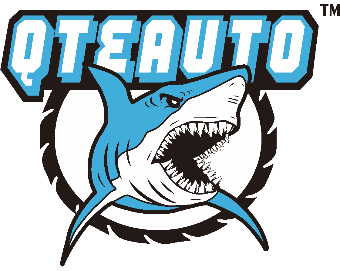 QTEAUTO LLC