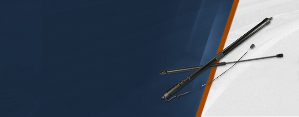 Lift Supports