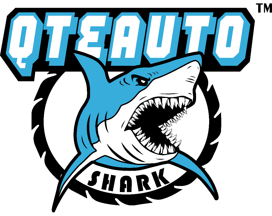 QTEAUTO LLC