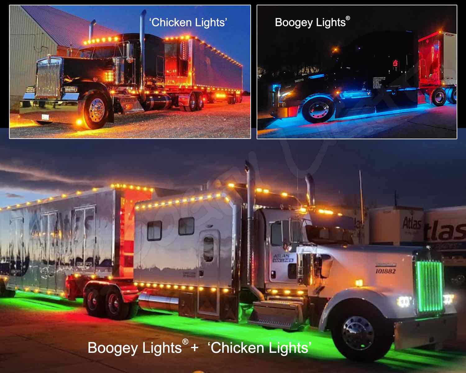 What are Chicken Lights?