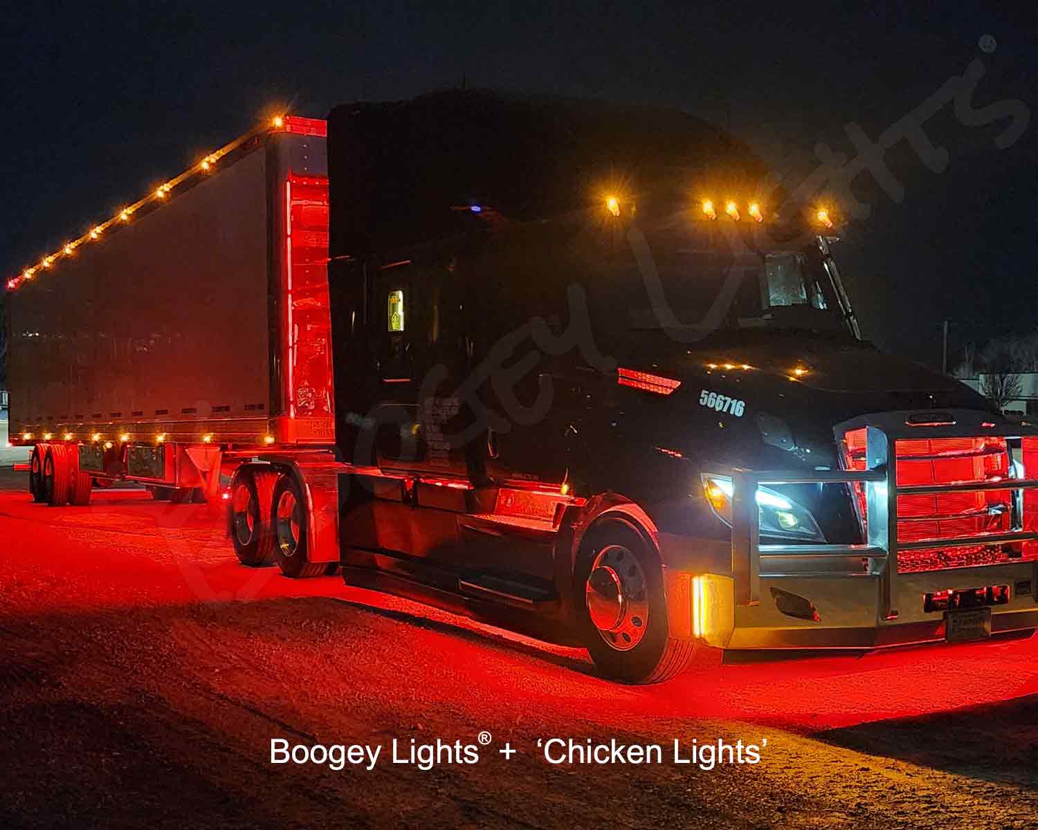 Difference Between Boogey Lights and Chicken Lights?