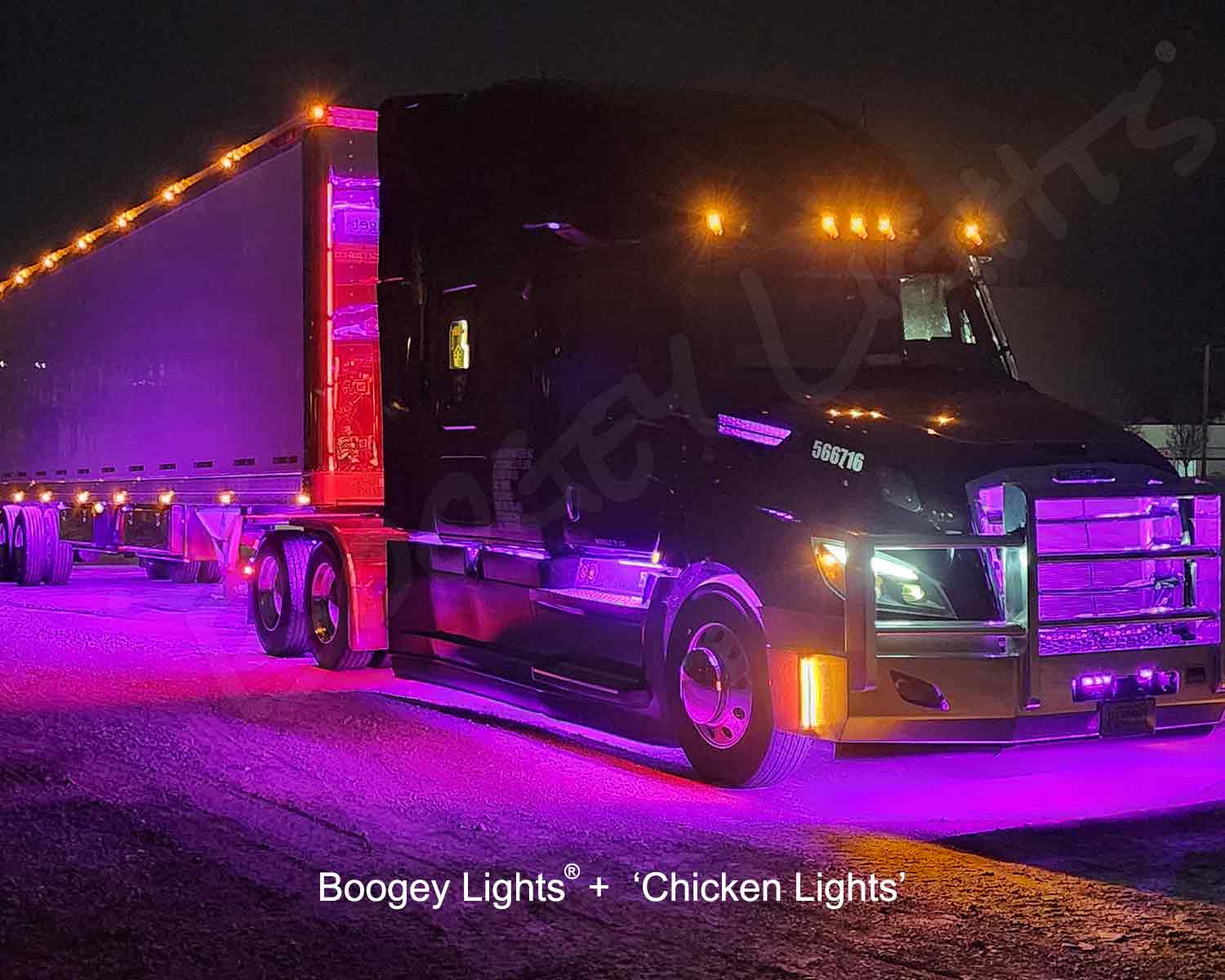 Difference Between Boogey Lights and Chicken Lights?