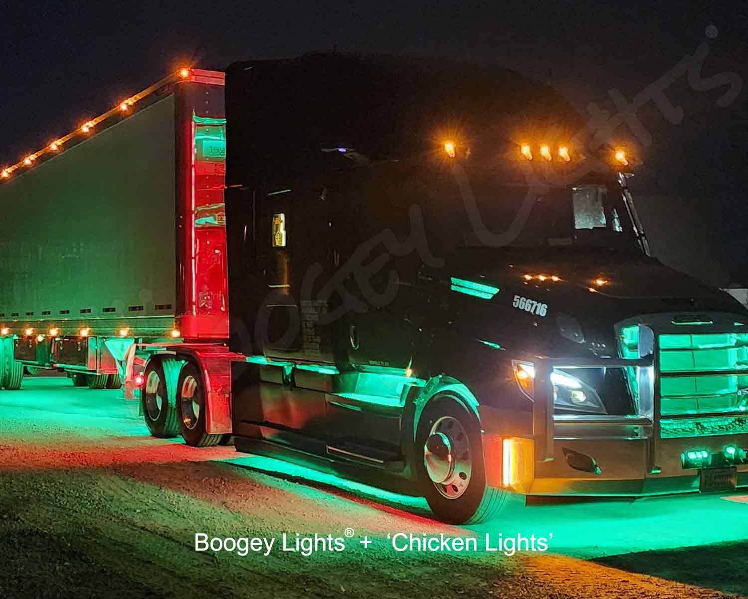 Difference Between Boogey Lights and Chicken Lights?