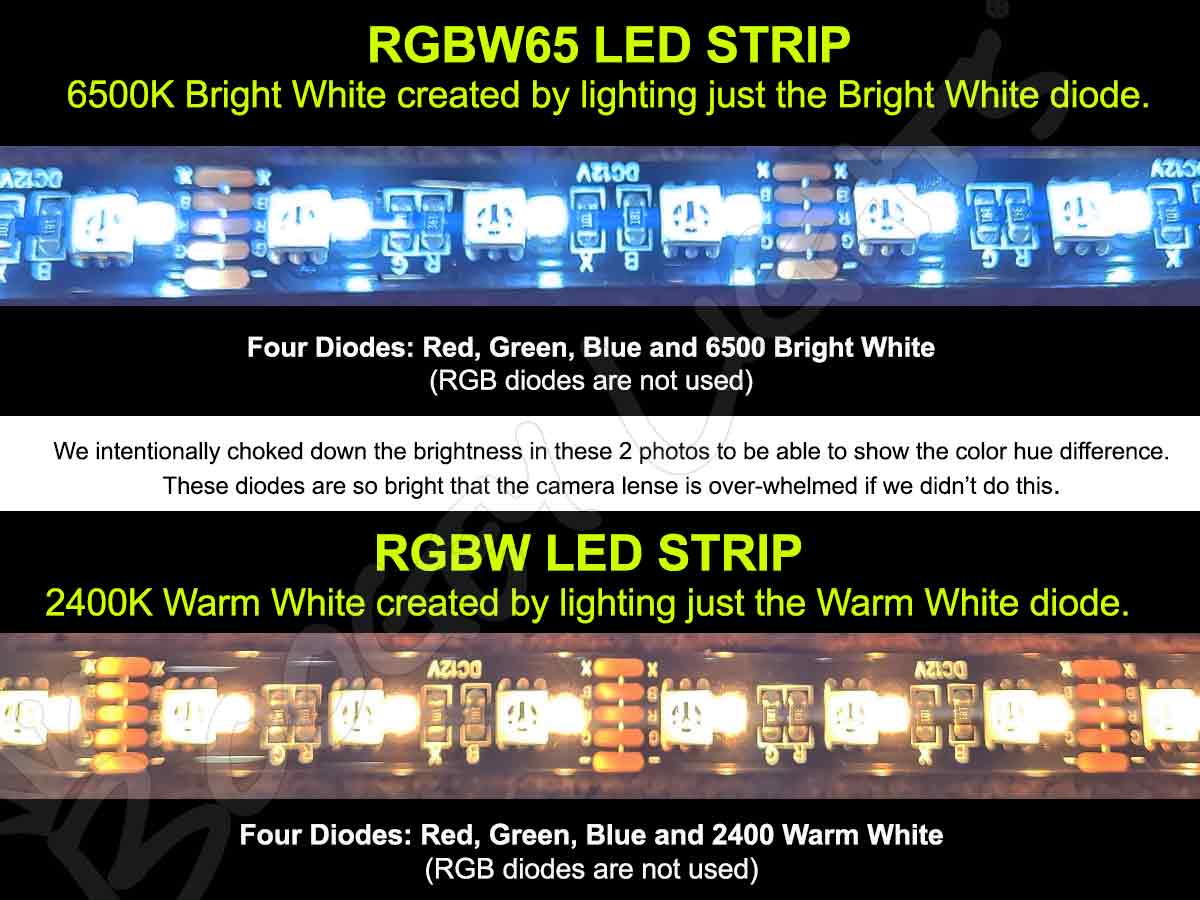 RGBW24 vs RGBW65 RGBW24 vs RGBW65