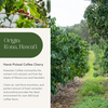 Image of coffee farm in Kona, Hawaii with title Hand-Picked Coffee Cherry