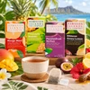 Favorite Teas Six Box Collection