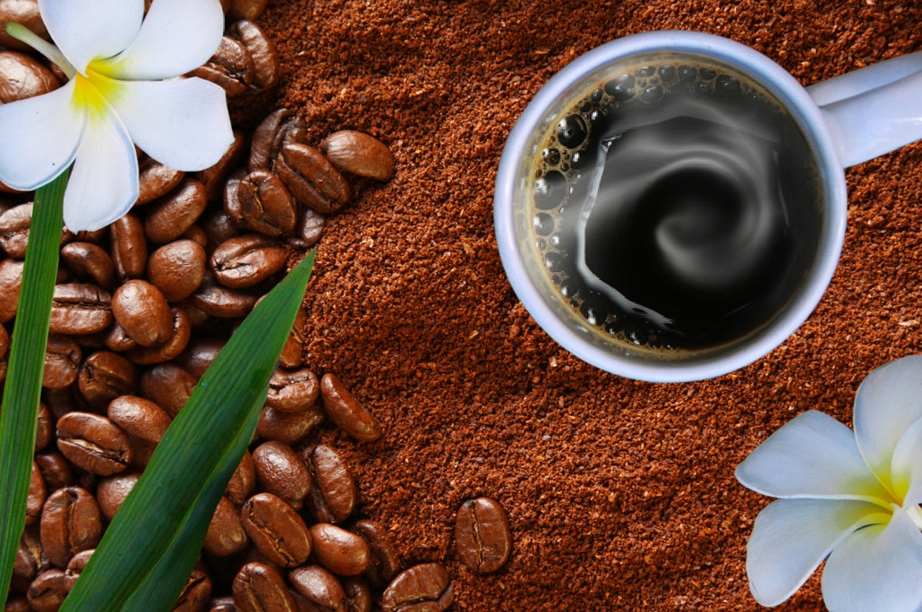 Ground vs. Whole Bean: Choosing the Right Coffee Type 