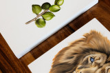 Limited Edition Artist Series: Kamea Hadar