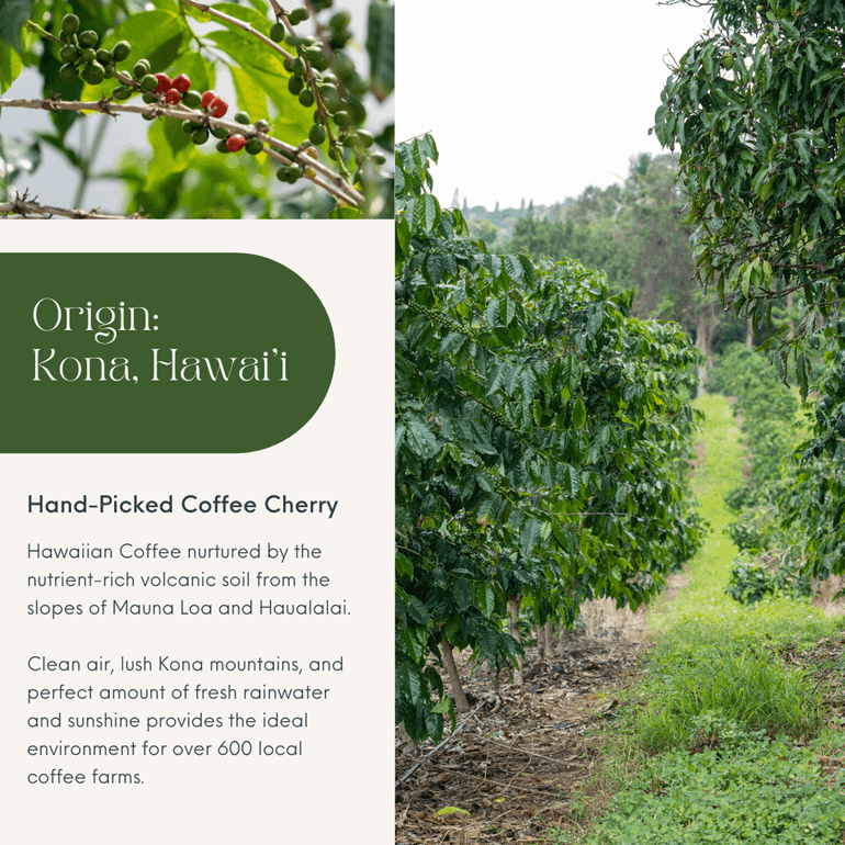 Espresso Roast 10% Kona Coffee Blend