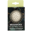 Brushworx Scalp Wellness Anti Static Detangler front view of the package