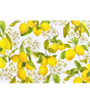 Peter Pauper Press Amalfi Lemons Note Cards 14pack