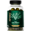 Apollo Irish Sea Moss Green Apple 60 Gummies