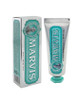 Marvis Anise Mint Toothpaste Travel Size 25ml
