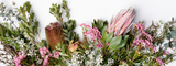 Grow a Bee-Friendly Garden with Year-Round Blooms