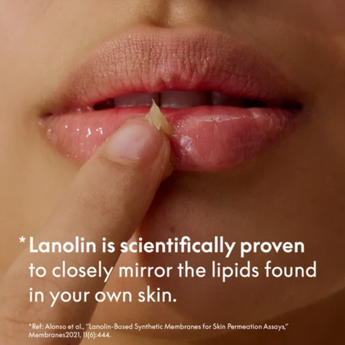 Lanolips The Original 101 Ointment Multipurpose Superbalm 15g