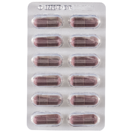 Sambucol Black Elderberry Cold & Flu Forte Caps 24 Tablets