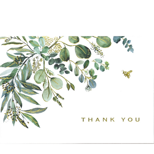 Peter Pauper Press Eucalyptus Thank You Notes 14pack Peter Pauper Press Eucalyptus Thank You Notes 14pack