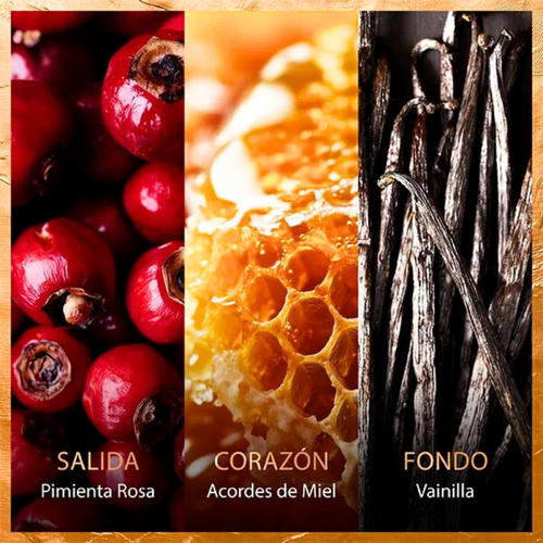 This floral amber fragrance scent opens with an invigorating punch of pink pepper that melts into a gourmand honey accord intertwined with warm vanilla