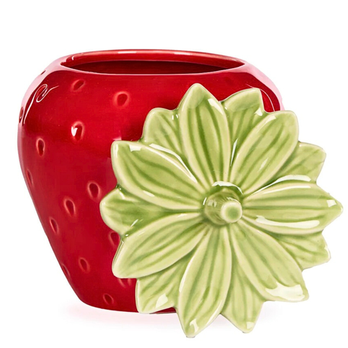 Holly And Ivy Large Ceramic Strawberry Canister Red with the lid open
