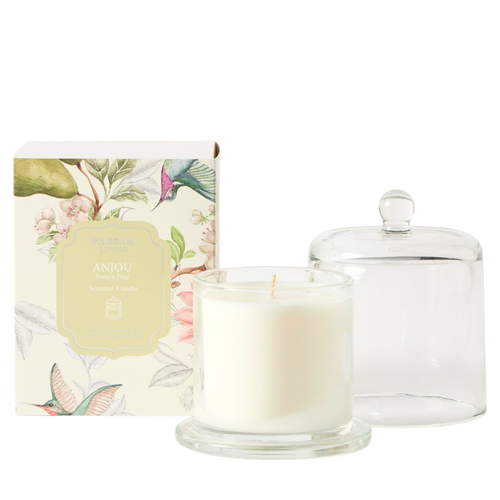 Image shows a Pilbeam Living Candle Anjou French Pear with the Cloche beside it