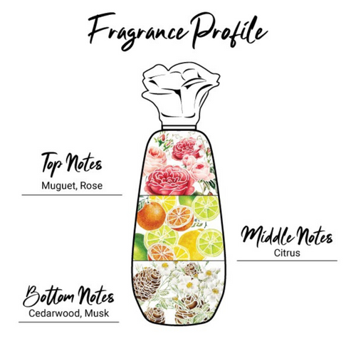 Enchanteur Charming Perfumed Talc Fragrance Profile