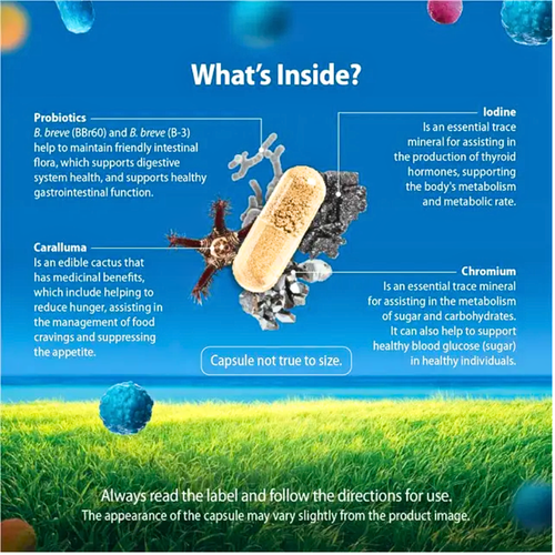 Caruso's Reduce Hunger Probiotic 42 Capsules