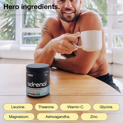 Switch Nutrition Adrenal Magnesium Support Powder Key Ingredients
