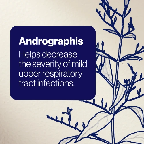BioCeuticals ArmaForce® 30 Tablets
