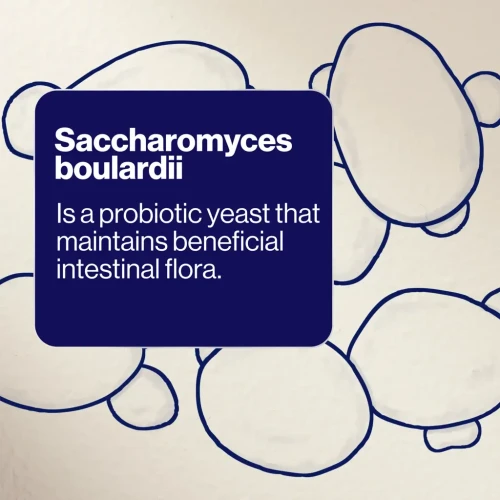 BioCeuticals SB Floractiv® 60 Capsules