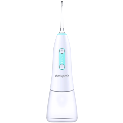 go2 dentagenie 2in1 Hydro Brush