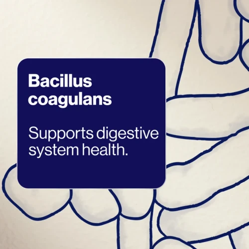 BioCeuticals UltraBiotic® Daily Gut Relief 60 Capsules