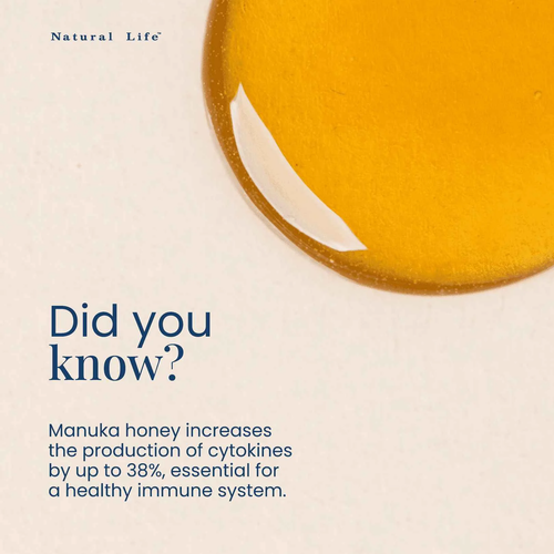 Natural Life Manuka Honey MGO 550 500g
