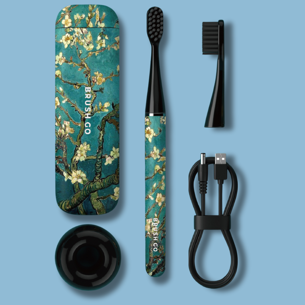 BrushGo box contents