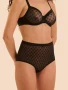 Plume Control Brief