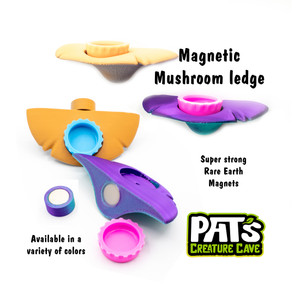 Small Magnetic Gecko feeding ledges with silicone dishes | Pat and Jen's Creature Cave
