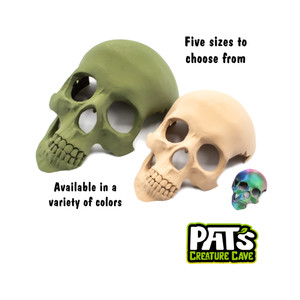 Human skull hide different size options | Pat and Jen's Creature Cave