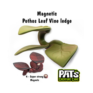 3D Printed Magnetic Triple Pothos vine | Pat and Jen's Creature Cave