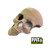 Single Camo colored human skull hide | Pat and Jen's Creature Cave