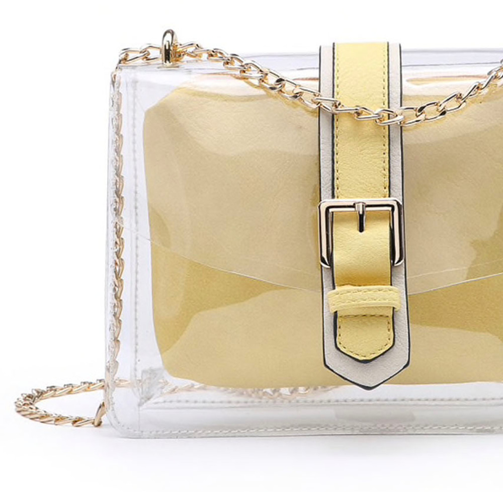 Clear Crossbody Bag in Gold