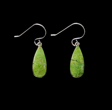 Webster Collection Green Hubei Turquoise & Sterling Teardrop Earrings