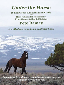 Under the Horse - Under Construction - Please do not buy at this time