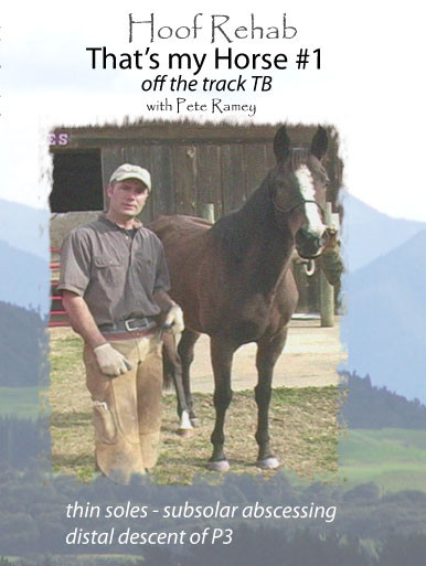 That's my Horse #1